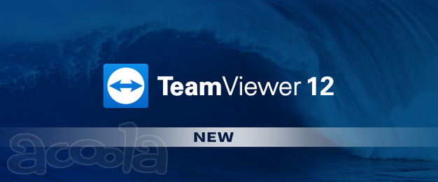 TeamViewer 12 Corporate в аренду.